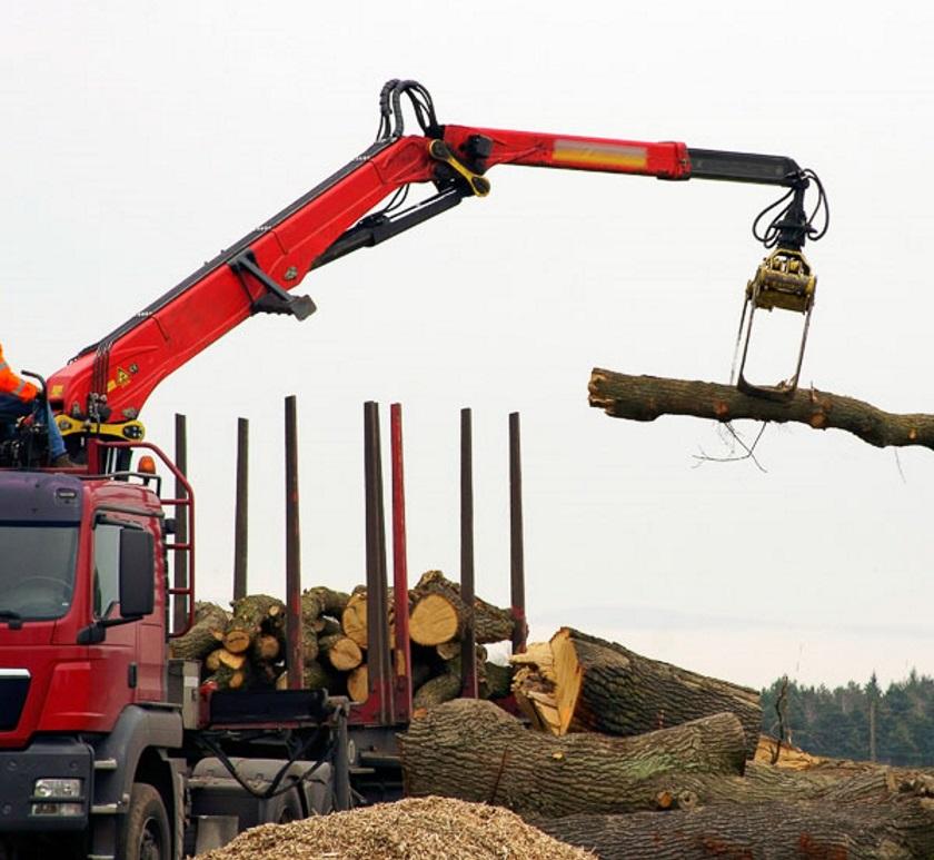 Assurance forestière • Assurances Paquin